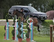 Arioldi F Uno-Cento CsioArJYR SS7 8226 : Arioldi Francesca, CSIO Giovani Arezzo, Uno-Cento, foto Stefano Secchi ©